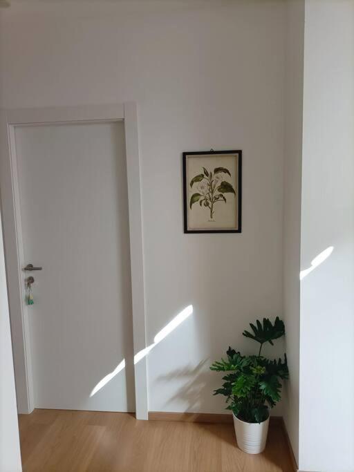 Loving My Rooms 1 - Deliziosa Mansarda In Centro Gorizia Buitenkant foto